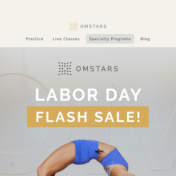 Labor Day Flash Sale ⚡