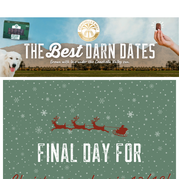'Tis the Season to Order Your Dates! 🎄🎅 Christmas Deadline!