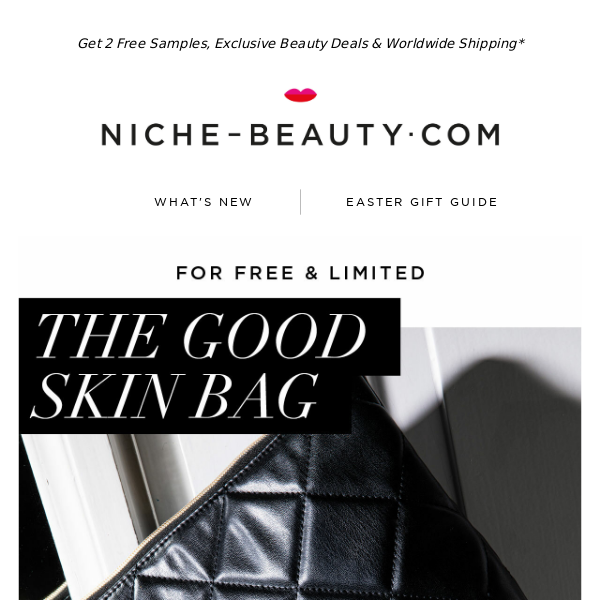 She's Here: Meet The Good Skin Bag!