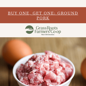 BOGO on ground pork is almost gone!