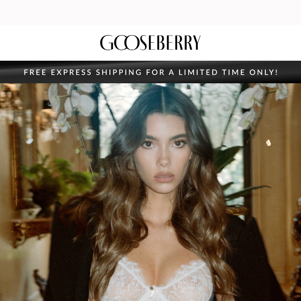 YOU'RE IN: 25% Off Everything + FREE Shipping - Gooseberry Intimates