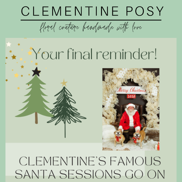 Clementine Posy Santa Sessions on sale TODAY from 10am! 🎅