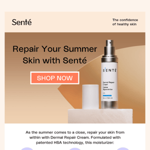 Soothe Your Sun-Kissed Summer Skin ☀️