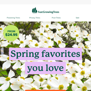 Spring favorites from $24.95
