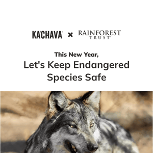 Save 10%, donate 10% to help save Mexican wolves and jaguars 🐺