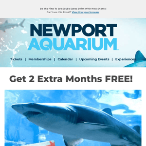 Meet NEW Sharks and Get 2 Extra Months FREE!