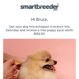 SmartBreeder, Free Dog Microchipping!