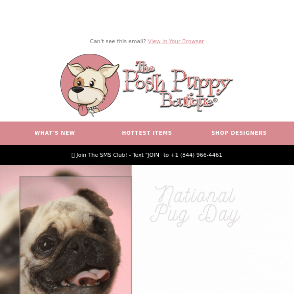 Hug a Pug Save 40 Today Only Posh Puppy Boutique