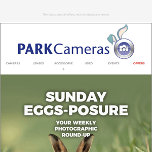 Sunday Eggs-posure | Your weekly roundup