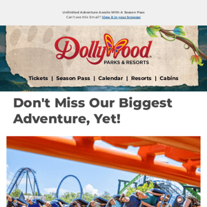 You're Almost There Dollywood!