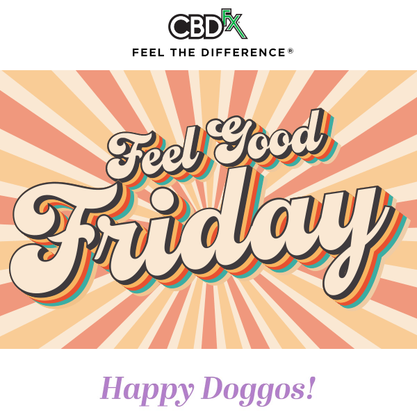 FEEL GOOD FRIDAY: Happy Doggos! 🐾