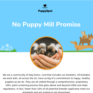 Our No Puppy Mill Promise