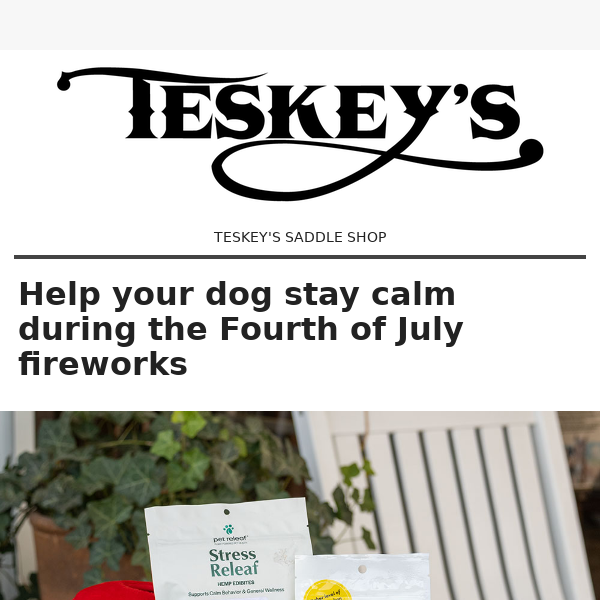 Fourth of July fireworks: Help your dog stay safe and stress-free