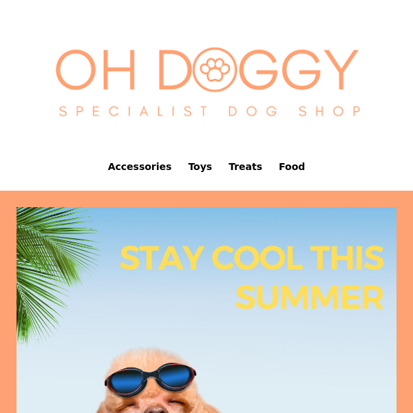 Ready for summer? Don't sweat it - we've got you covered  🐶