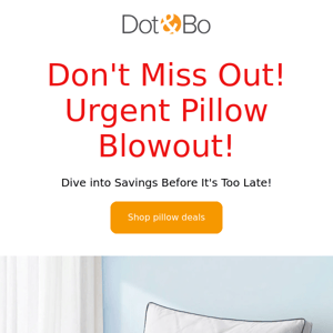 Hurry! Massive Pillow Clearance!