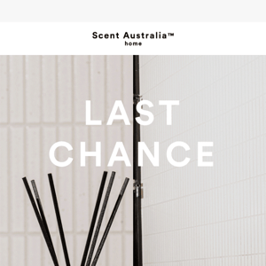 SCENTOFY OFFER 2: Last chance to Buy any reed diffuser, get one half price