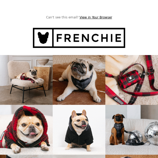 Frenchie Duo Reversible Harness - Knockout, S | Frenchie Bulldog | French Bulldog Accessories & Apparel