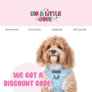 Time to treat your pup with 10% off 🐶