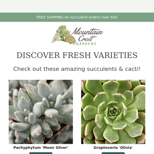 🌵 Fresh Varieties for Mountain Crest Gardens! 🌵