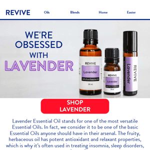 💜 OBSESSED with: Everything Lavender!