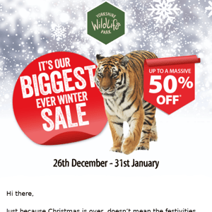 The YWP Winter Sale has landed! 🎁