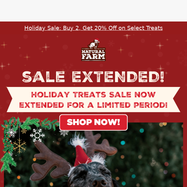 Holiday Treats Sale EXTENDED! 🔥