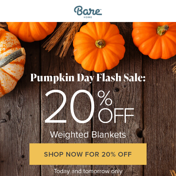 🎃 Pumpkin Day Flash Sale: 20% Off Weighted Blankets!