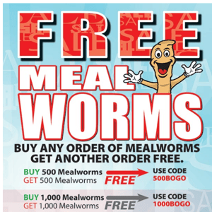 Sale Ends Midnight: BOGO Sale. Free Mealworms.