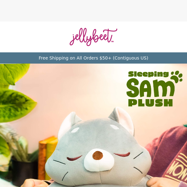 😍 Fall IN LOVE with our NEW Sleeping Sam Plushie!