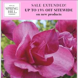 Savings on Spring '23 extended!