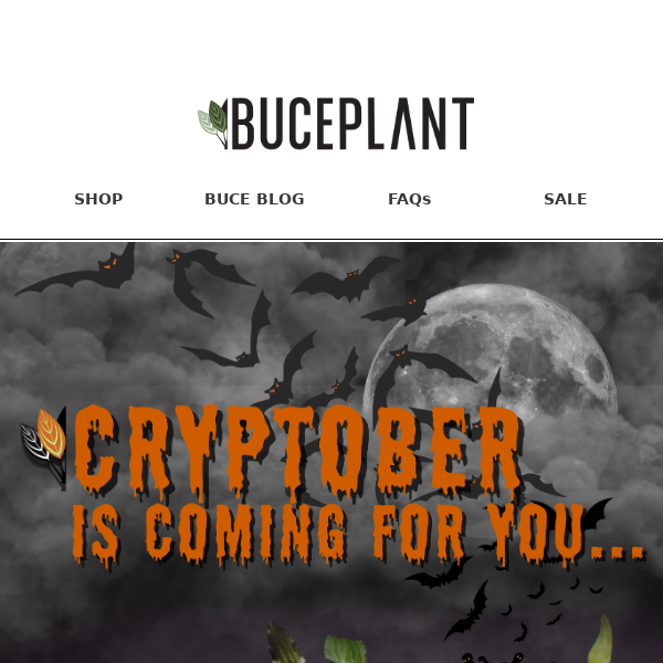 Cryptober is among us 🎃 20% OFF Crypts & Buce!