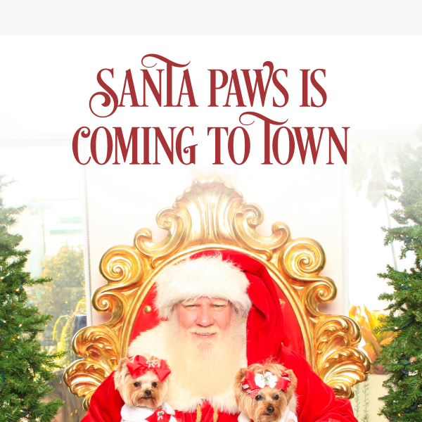 Join Us For Our Santa Paws Photo Pop-Up Event!