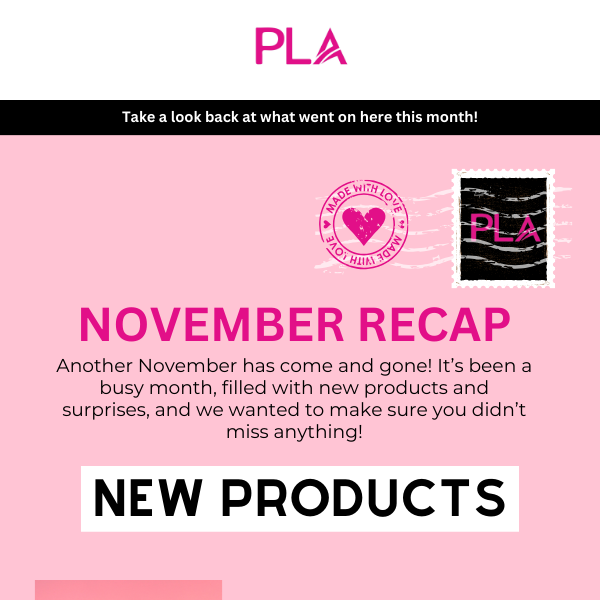 November Recap!🩷