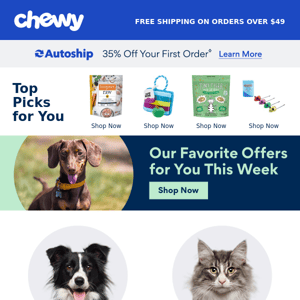 Shop Offers for Your Pet Now!
