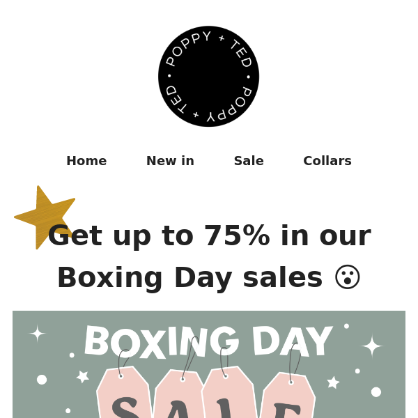 Boxing Day sales - NEW LINES ADDED! 🤩