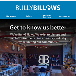 Get to Know BullyBillows 🐶👋