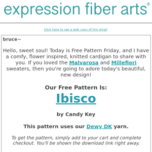 Free Pattern Friday: Ibisco + 15% Off All DK Yarn!