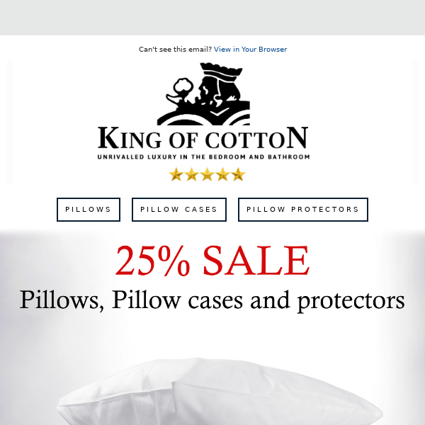 Enjoy 25% Off All Pillow Products!