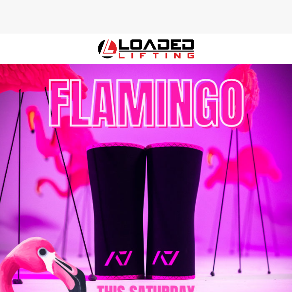 A7 Flamingo 🦩 This Saturday