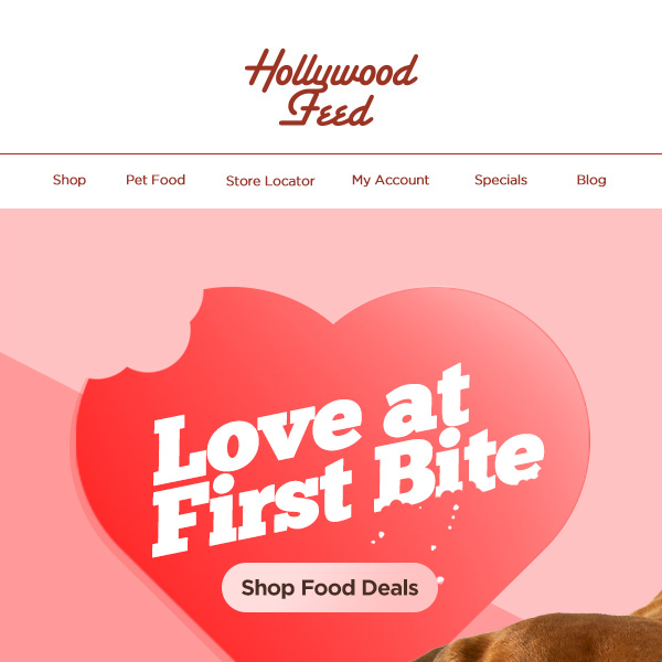 Love at First Bite! Shop Food Deals for Your Pet! 😋