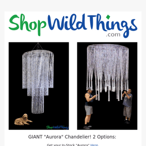 💎NEW! Stage Chandeliers 6'x 11' In Stock