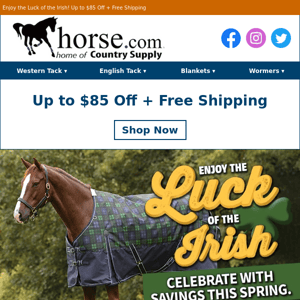 Horseshoes for Luck & Up to $85 Off + Free Shipping