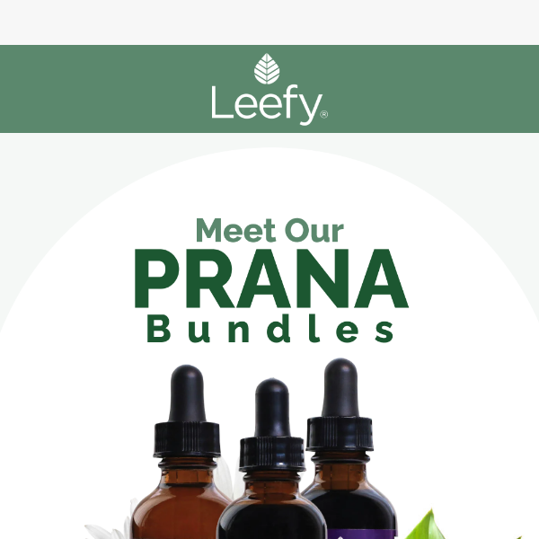 Discover the Power of PRANA Bundles