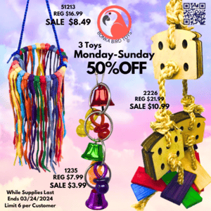 Weekly Exclusive: Save 50% on 3 Handpicked Bird Toys! 🐦🎁