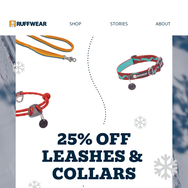 25% Off Leashes & Collars