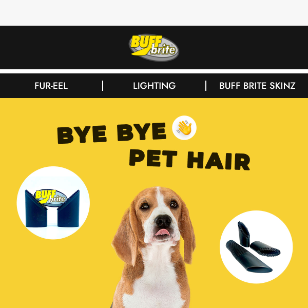 The secret to get rid of pet hairs