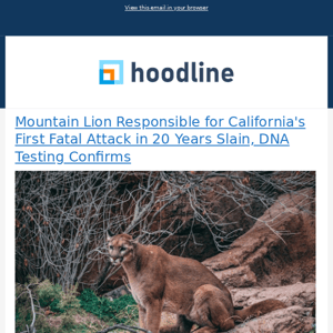 Mountain Lion Responsible for California's First Fatal Attack in 20 Years Slain, DNA Testing Confirms & More from Hoodline - 03/25/2024