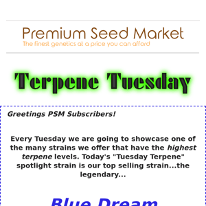 💡Terpene Tuesday Spotlight!💡