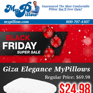 Black Friday Pillow Special