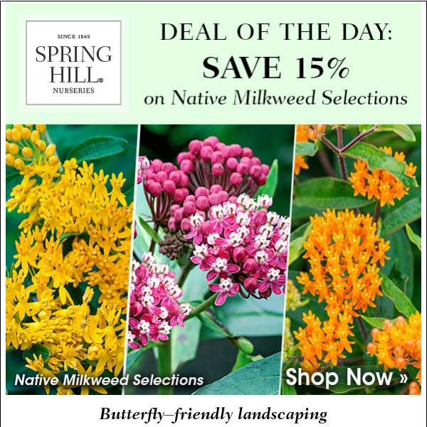 Deal of the Day: Save 15% on Native Milkweed Selections